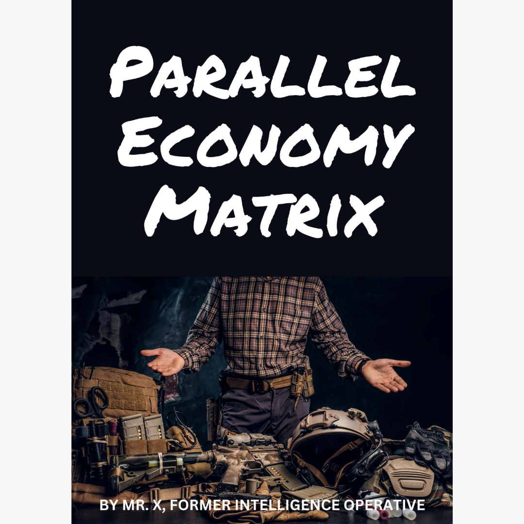Parallel Economy Matrix