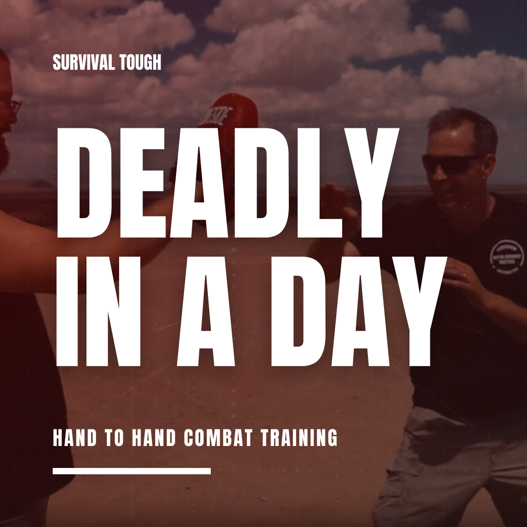 DEADLY IN A DAY